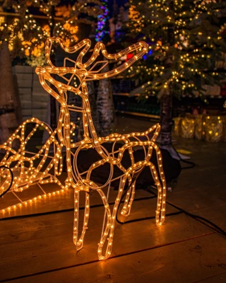 Kerstverlichting
