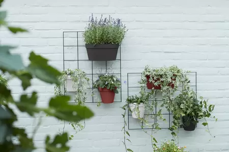 elho Loft urban green wall rek  living black