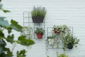 elho Loft urban green wall rek  living black