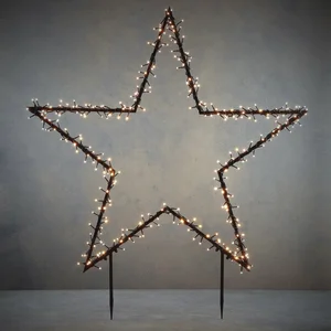 Luca Lighting Garden d light ster tuinsteker - 350LED