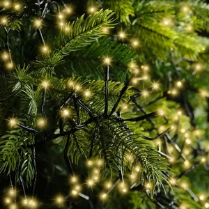 Lumineo LEDcluster 2800cm3000L - afbeelding 6
