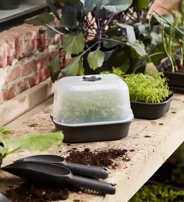 Moestuinieren