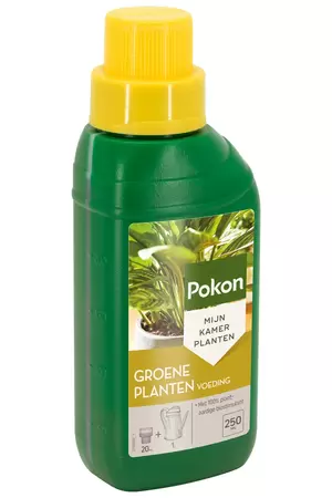 Pokon Groene planten Voeding 250ml