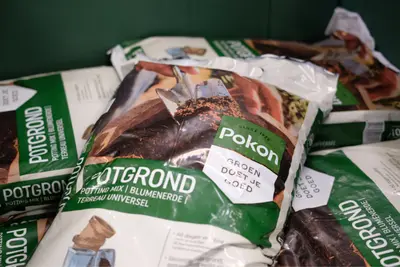 Potgrond & hydrokorrels