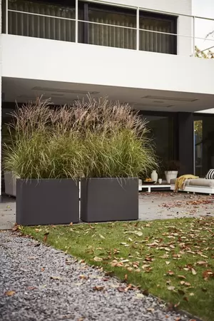 elho pure soft brick divider wielen 80 cm anthracite