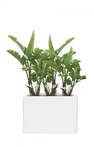 elho pure soft brick divider wielen 80 cm white