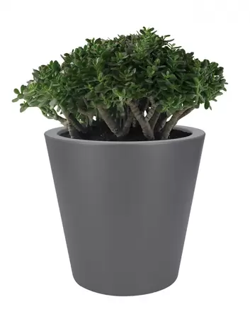 elho pure straight rond d50 cm anthracite