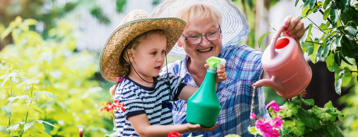 Eenjarige zomerbloeiers in de tuin